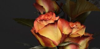 Czy urodzenie dziecka wlicza się do stażu pracy? Czy urodzenie dziecka wlicza się do stażu pracy?