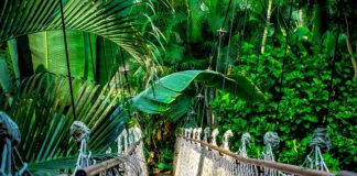 Czy kursy online mają sens?